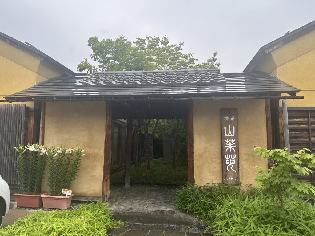 櫻湯山茱萸