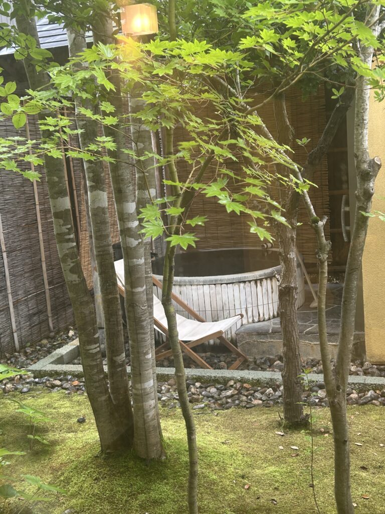 櫻湯山茱萸