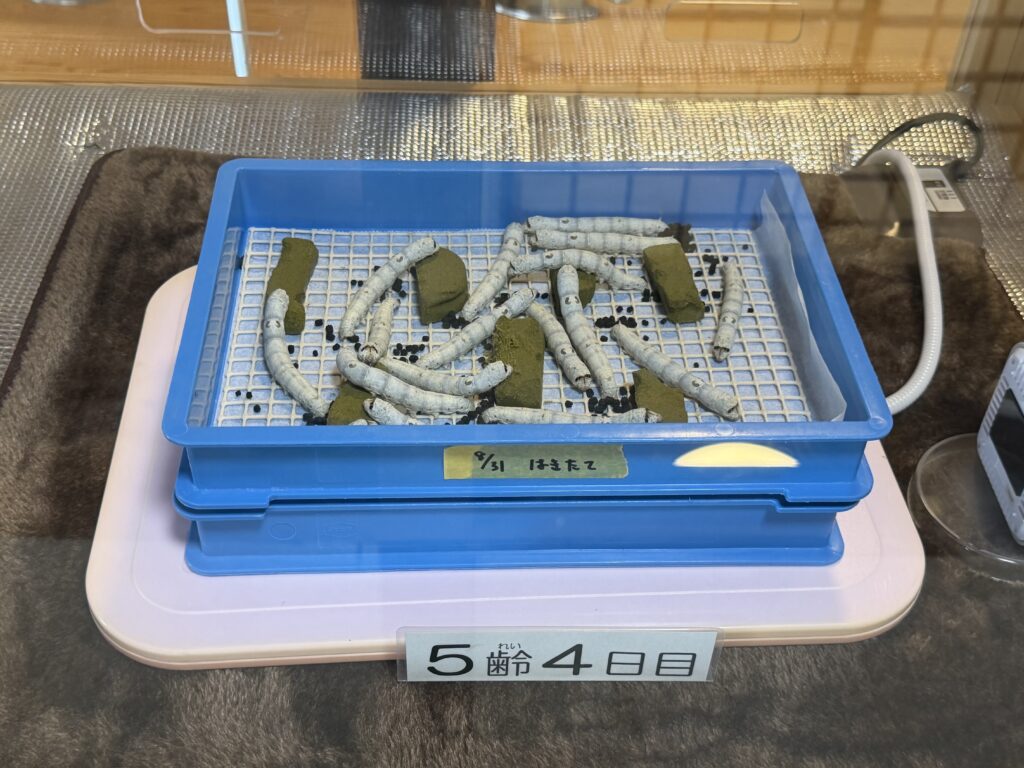 久我山左近日記