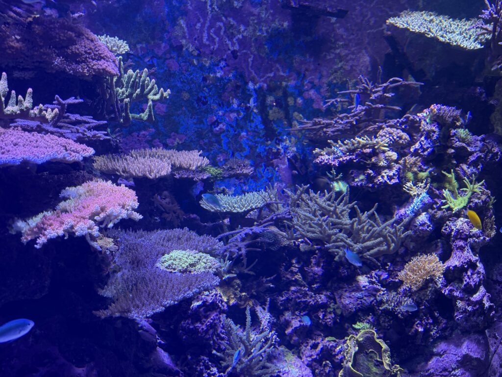 久我山左近日記
