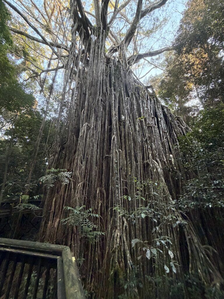 久我山左近日記