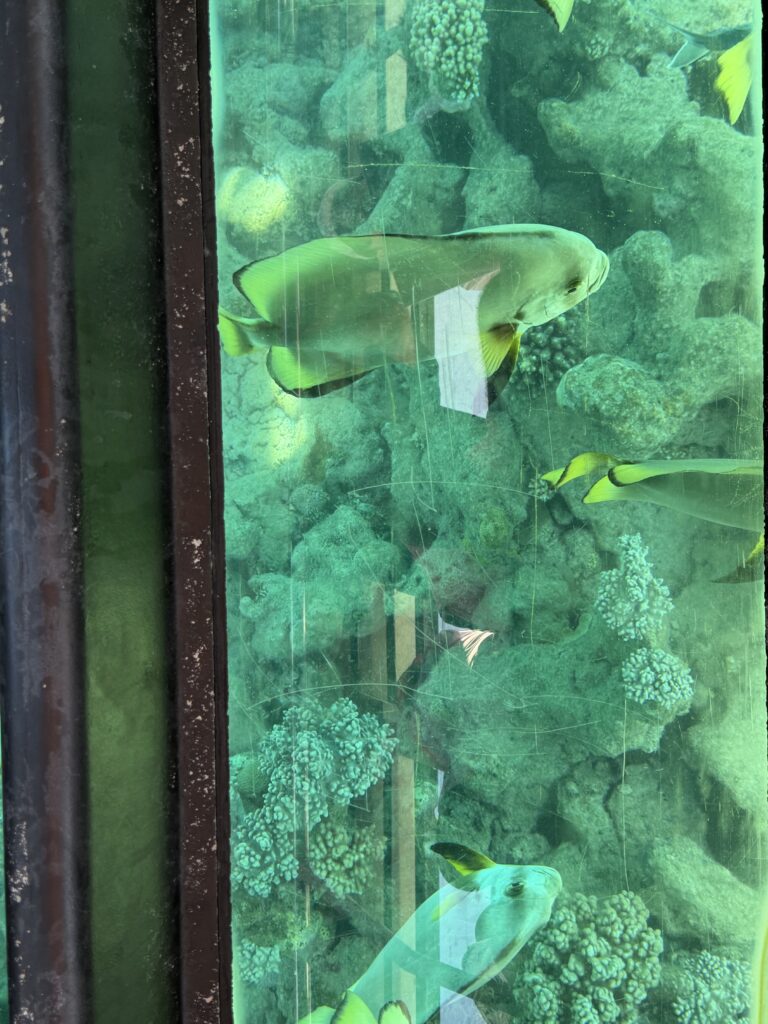 久我山左近日記